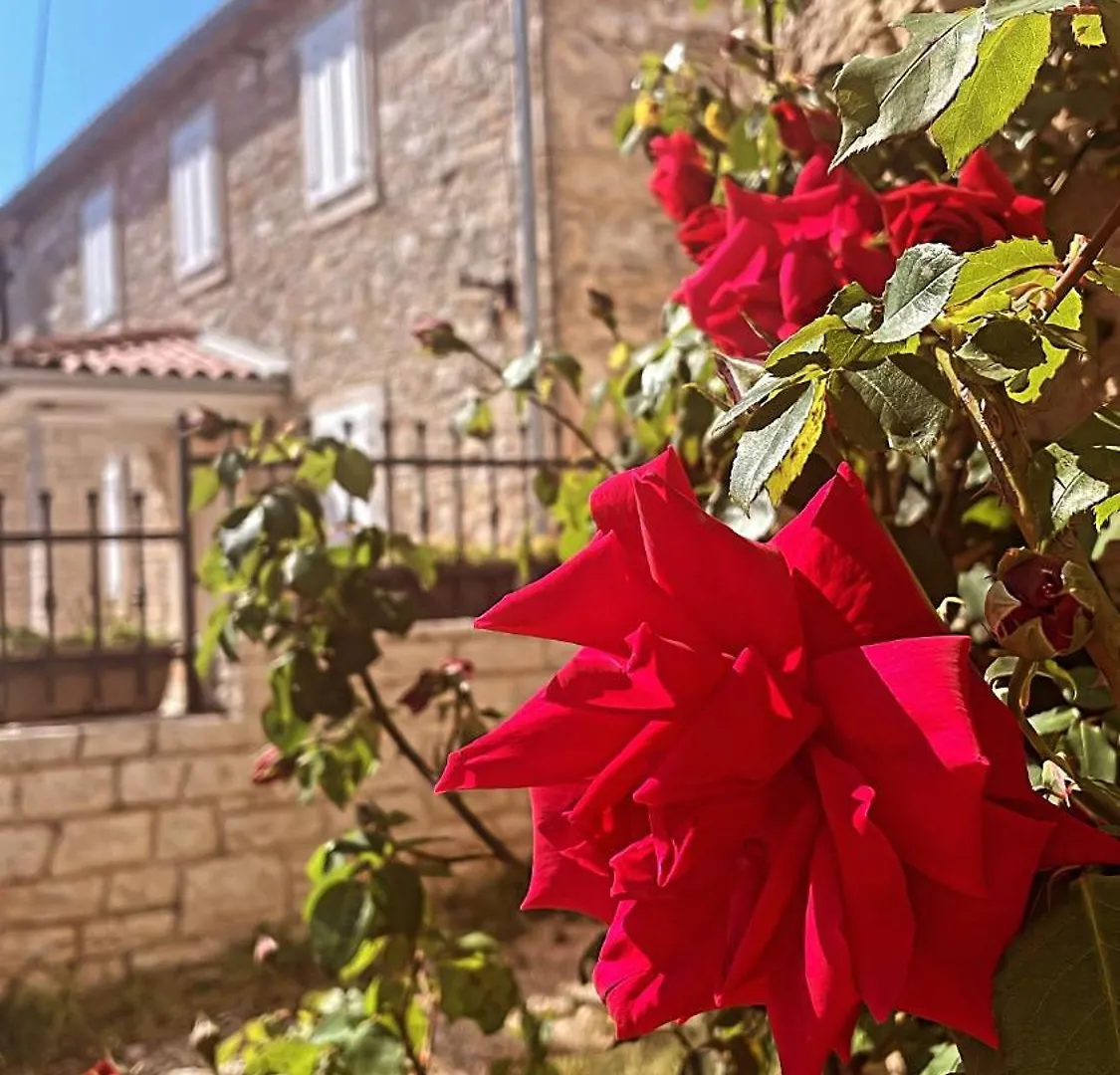 Spacious Apartment Tar-Vabriga